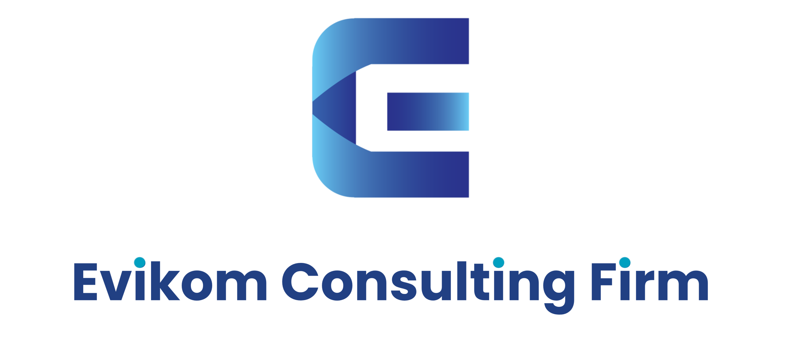 Evikom Consulting Firm